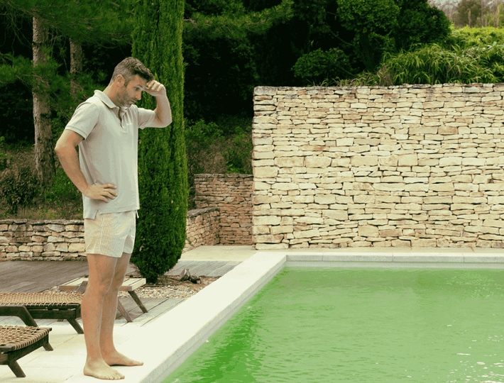 Eau-verte-Algues_Header